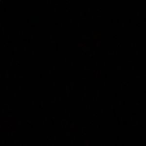 Meet your Posher, Sonia